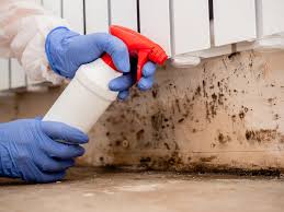 Best Crawl Space Mold Remediation  in Philipsburg, PA